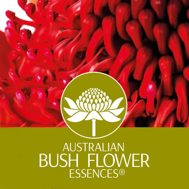 Australian bush flower essences